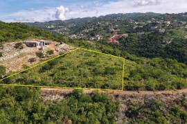 Development Land (Residential) for Sale in Kingston 20