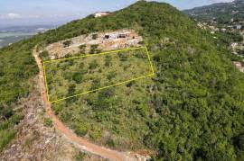 Development Land (Residential) for Sale in Kingston 20