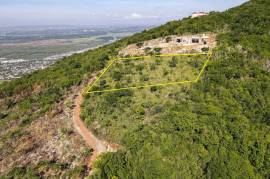 Development Land (Residential) for Sale in Kingston 20