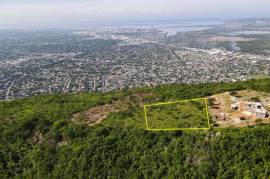 Development Land (Residential) for Sale in Kingston 20