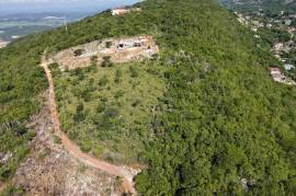 Development Land (Residential) for Sale in Kingston 20