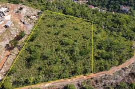 Development Land (Residential) for Sale in Kingston 20