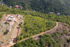 Development Land (Residential) for Sale in Kingston 20