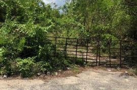 Development Land (Residential) for Sale in Black River