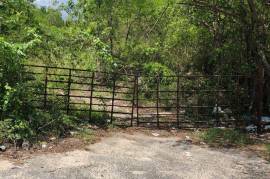 Development Land (Residential) for Sale in Black River