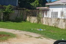 Development Land (Residential) for Sale in Savanna-La-Mar