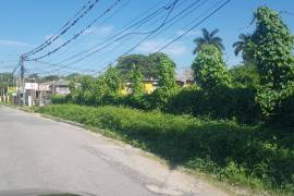 Development Land (Residential) for Sale in Savanna-La-Mar