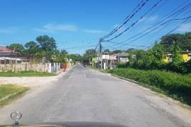 Development Land (Residential) for Sale in Savanna-La-Mar