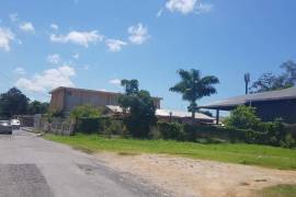 Development Land (Residential) for Sale in Savanna-La-Mar