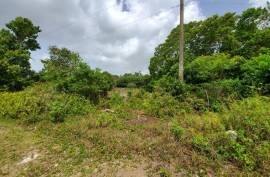 Development Land (Residential) for Sale in Lime Hall