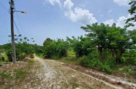 Development Land (Residential) for Sale in Lime Hall