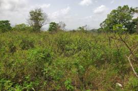 Development Land (Residential) for Sale in Lime Hall