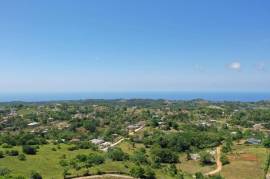 Development Land (Residential) for Sale in Bamboo