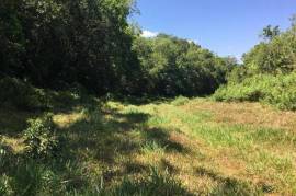 Development Land (Residential) for Sale in Bamboo