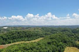 Development Land (Residential) for Sale in Bamboo