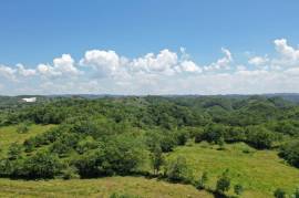 Development Land (Residential) for Sale in Bamboo