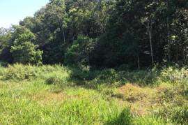 Development Land (Residential) for Sale in Bamboo