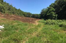 Development Land (Residential) for Sale in Bamboo