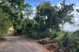 Development Land (Residential) for Sale in Kingston 19