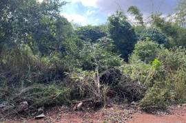 Development Land (Residential) for Sale in Kingston 19