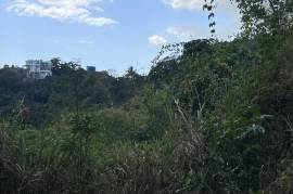 Development Land (Residential) for Sale in Kingston 19