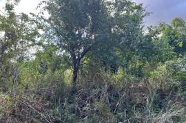 Development Land (Residential) for Sale in Kingston 19