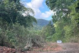 Development Land (Residential) for Sale in Kingston 19