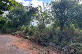 Development Land (Residential) for Sale in Kingston 19