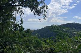 Development Land (Residential) for Sale in Kingston 19