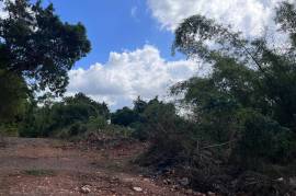 Development Land (Residential) for Sale in Kingston 19