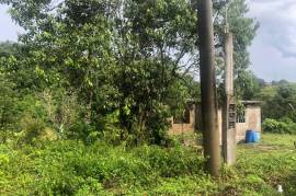 Development Land (Residential) for Sale in Bamboo