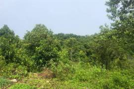 Development Land (Residential) for Sale in Bamboo