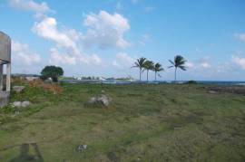 Development Land (Residential) for Sale in Morant Bay  Leased