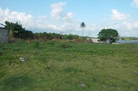 Development Land (Residential) for Sale in Morant Bay  Leased