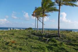 Development Land (Residential) for Sale in Morant Bay  Leased