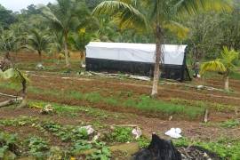 Development Land (Residential) for Sale in Bamboo