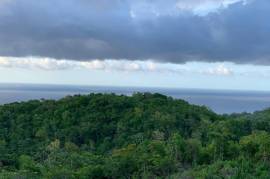 Development Land (Residential) for Sale in Montego Bay