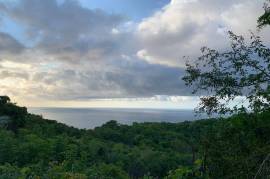 Development Land (Residential) for Sale in Montego Bay