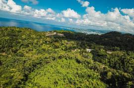 Development Land (Residential) for Sale in Montego Bay