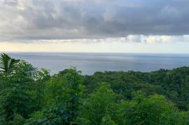 Development Land (Residential) for Sale in Montego Bay