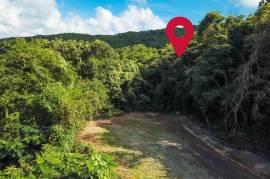 Development Land (Residential) for Sale in Montego Bay