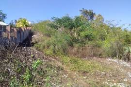 Development Land (Residential) for Sale in Santa Cruz