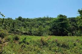 Development Land (Residential) for Sale in Hope Bay