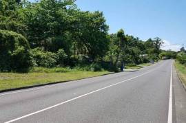 Development Land (Residential) for Sale in Hope Bay