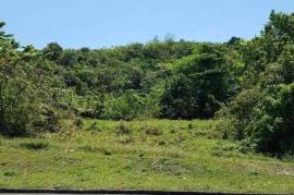 Development Land (Residential) for Sale in Hope Bay