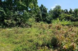 Development Land (Residential) for Sale in Hope Bay