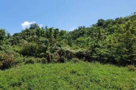 Development Land (Residential) for Sale in Hope Bay