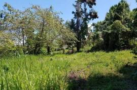 Development Land (Residential) for Sale in Hope Bay