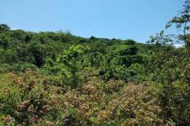 Development Land (Residential) for Sale in Hope Bay