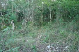 Development Land (Residential) for Sale in Adelphi